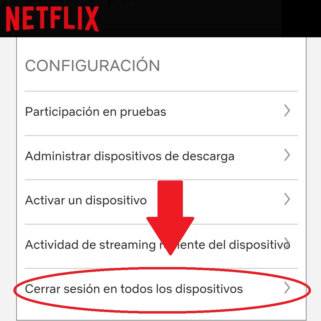 cerrar sesion netflix