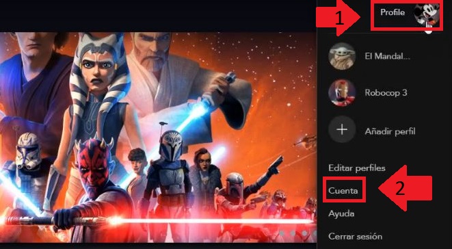 perfil cuenta disney plus
