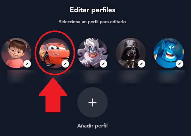 perfil disneyplus